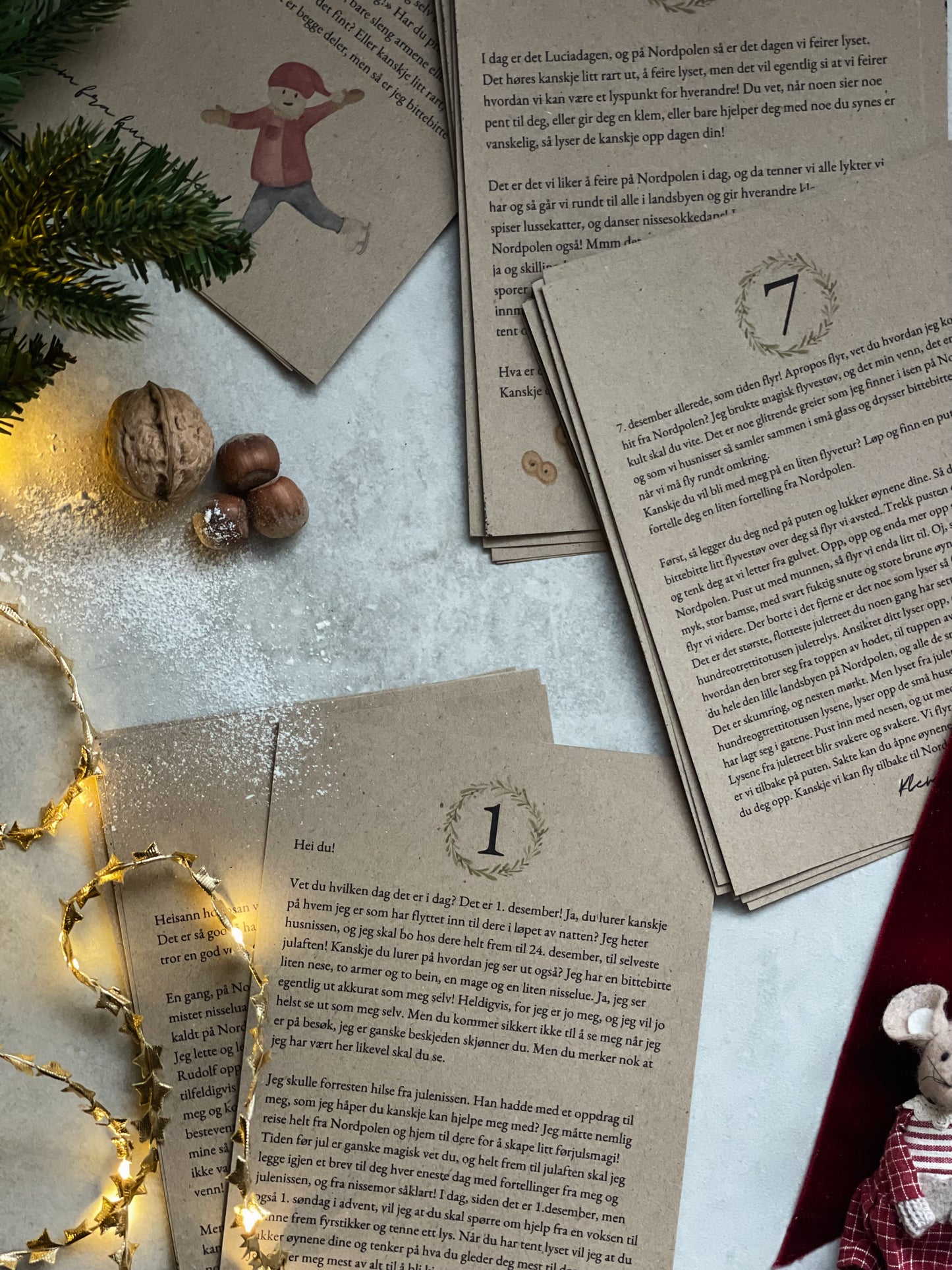 Husnissens Eventyrkalender - Første møtet med Husnissen (Forhåndsbestilling)